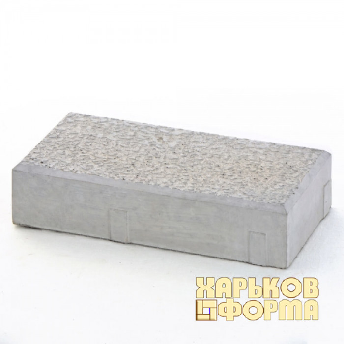 Форми  200x100 для тротуарної плитки h45 Антик №3 шагрень