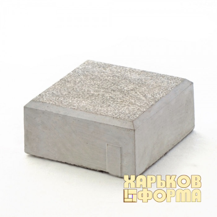 Форми  200x100 для тротуарної плитки h45 Антик №2 шагрень
