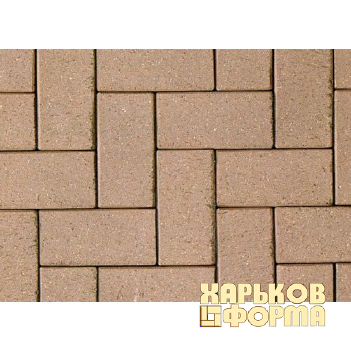 Forms for paving Brick shagreen ABS