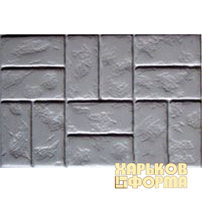 Mold for paving slab Staraya Odessa