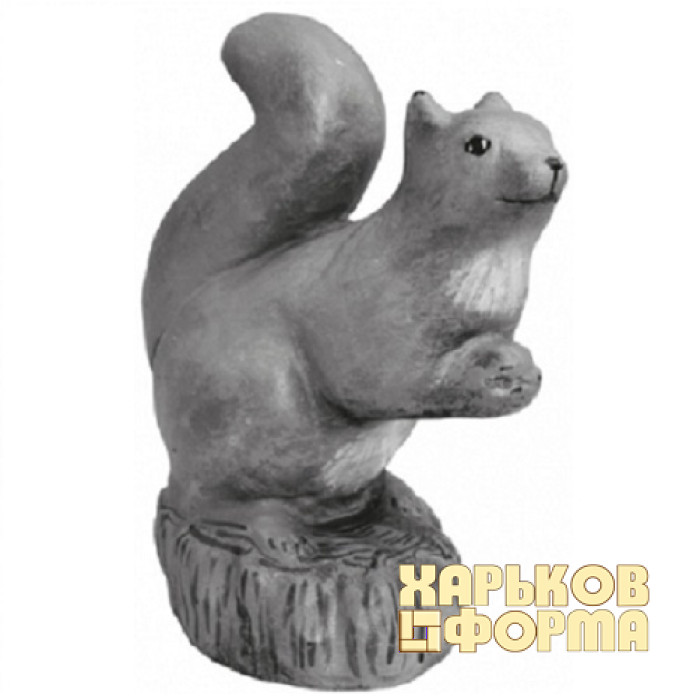 Forms for concrete Squirrel