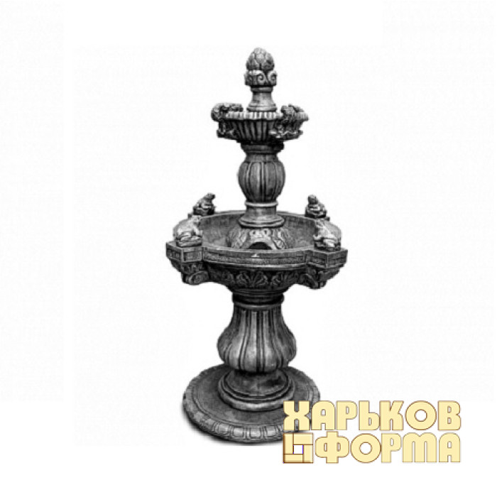 Forms for fountain Frog
