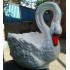 Forms for the Flower garden Swan Forms for the Flower garden Swan