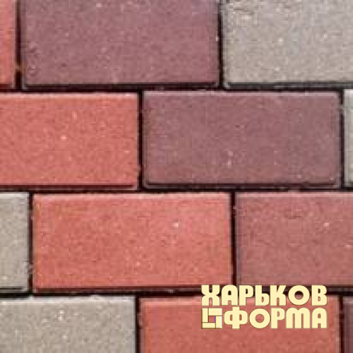 Forms for paving Brick shagreen