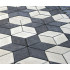 Forms for paving tile Diamond pattern shagreen