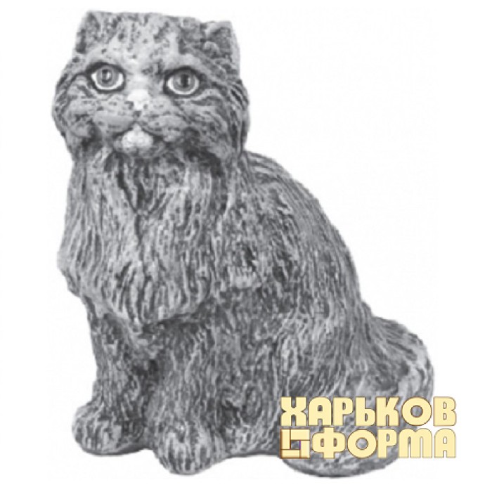 Forms for concrete cat 3